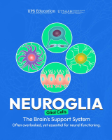 Neuroglia (glial cells).pdf